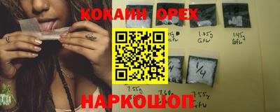 apvp Кингисепп