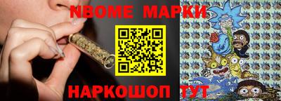 apvp Кингисепп