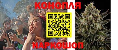 apvp Кингисепп