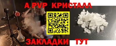 apvp Кингисепп