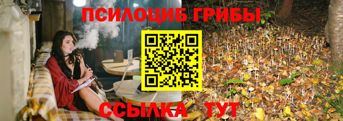 Ногинск  Галлюциногенные грибы мухоморы  Вход с VPN 