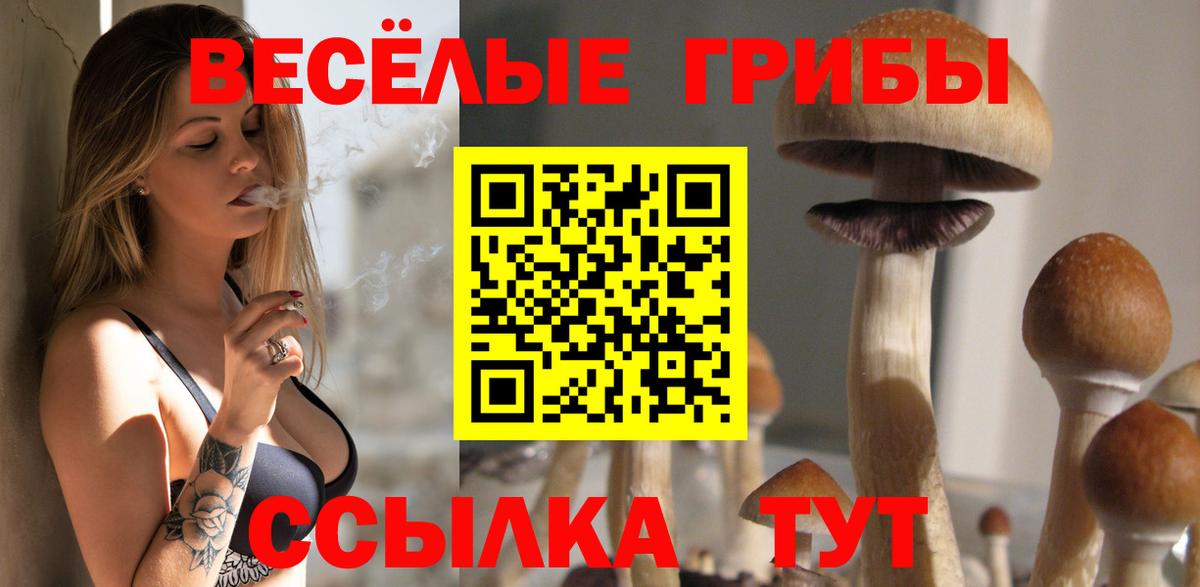 Псилоцибиновые грибы прущие грибы Ногинск
